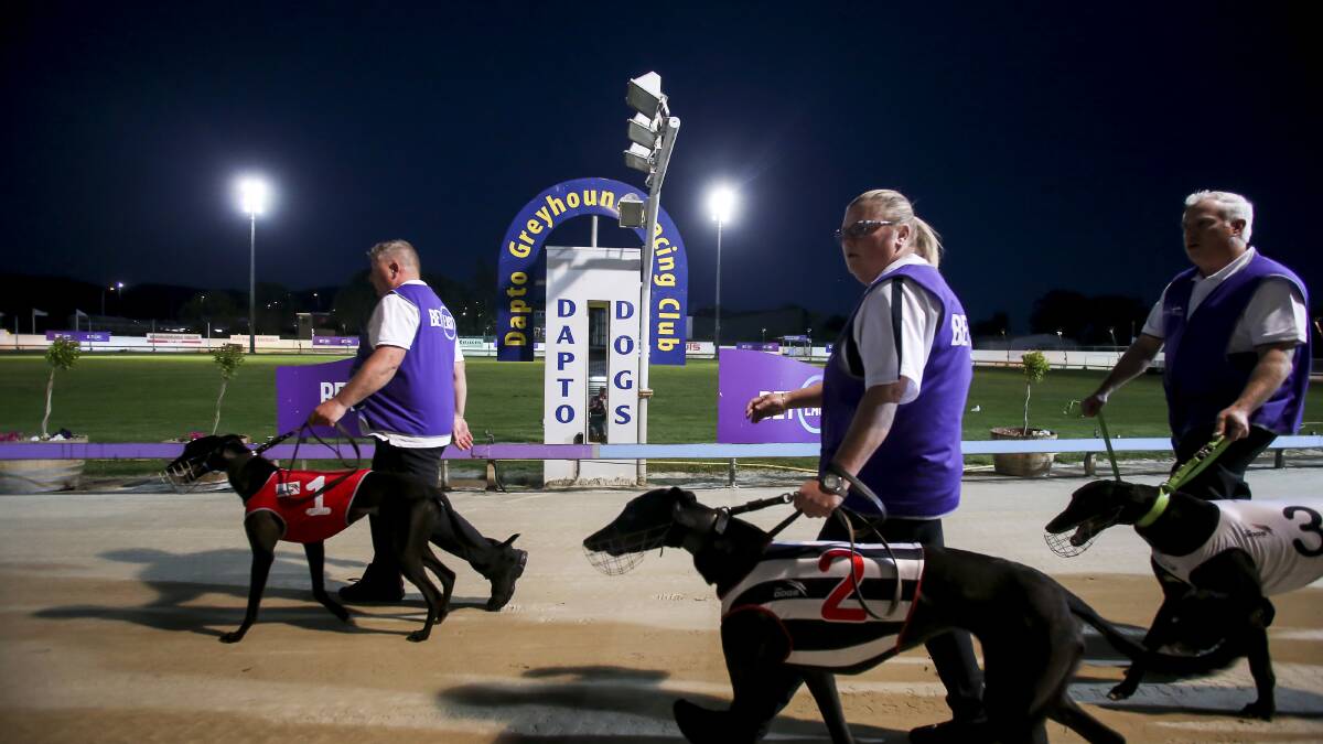 Dapto Dogs fight: Showground owners offer new lease to Greyhound Racing NSW