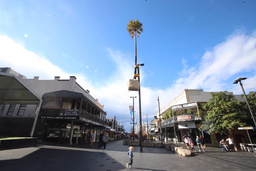 Controversial: Wollongong's most infamous piece of public art - the mall palm tree - was installed almost three years ago. Picture: Sylvia Liber.