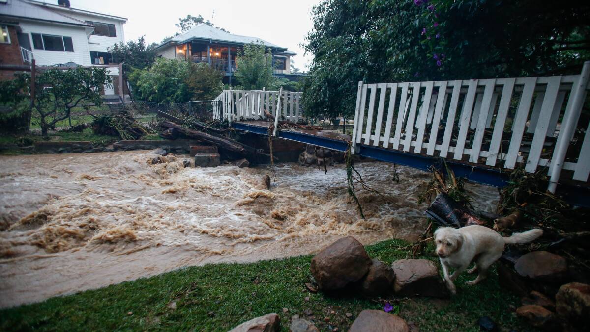Flooding of Hewitts Creek out the back of houses on Lachlan St, Thirroul early on Saturday morning. Picture by Anna Warr