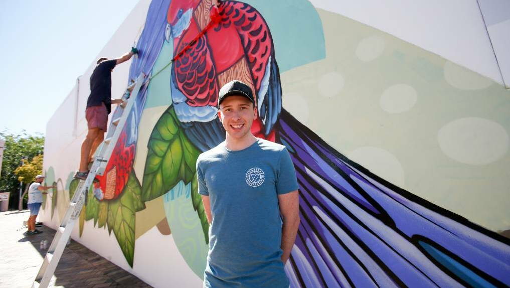 Laneway life: A vivid image of rosellas was painted on the laneway between Dapto Hotel and Alexander's Cafe last month. Picture: Adam McLean.