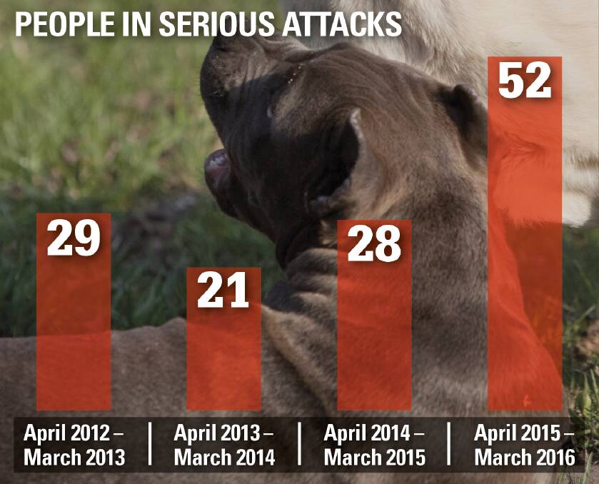 Serious dog attacks jump 85 per cent