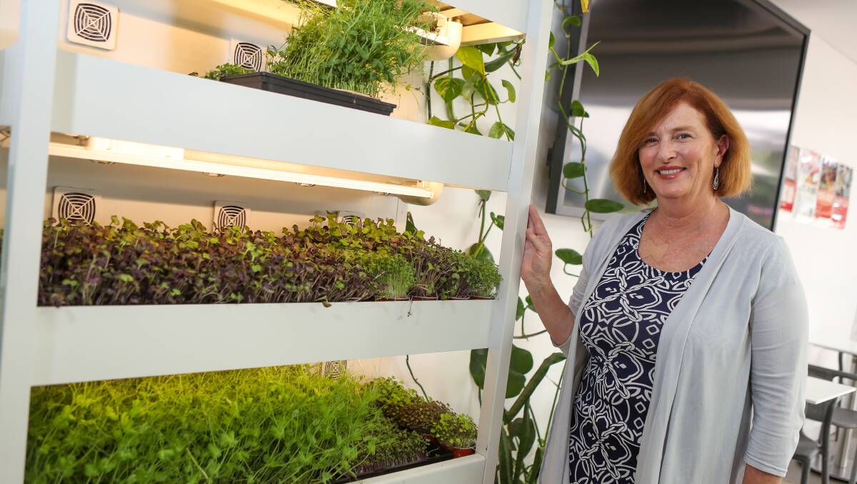University of Wollongong lecturer Dr Anne McMahon witha new vertical food wall on campus. Picture by Adam McLean