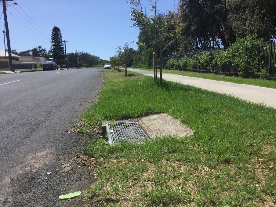 Room for improvement: A existing stormwater drain at Murray Road, East Corrimal, which Cr Cox says could be vastly improved by a rain garden. Picture: Mithra Cox.