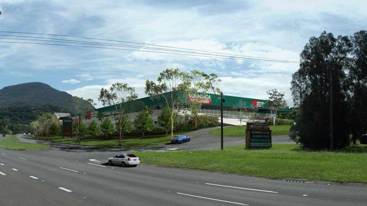 Major development: An artist's impression of the Bunnings store that is proposed for Kembla Grange, which will be considered by the regional planning panel. 