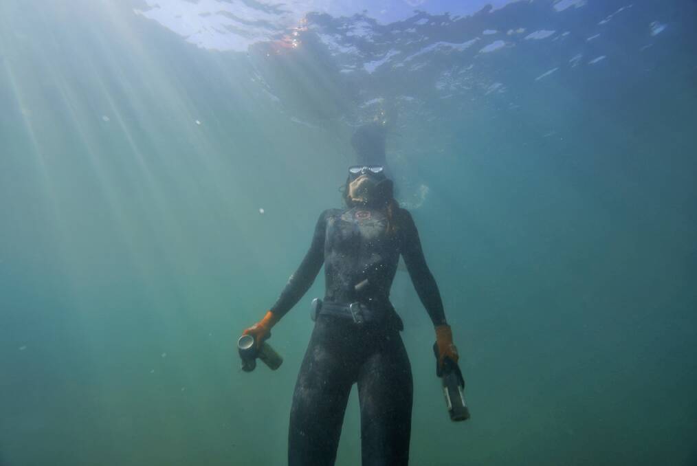 Underwater clean: A free diver picks up rubbish from inside Wollongong Harbour as part of Saturday's event. Picture: Dominik Fretz.