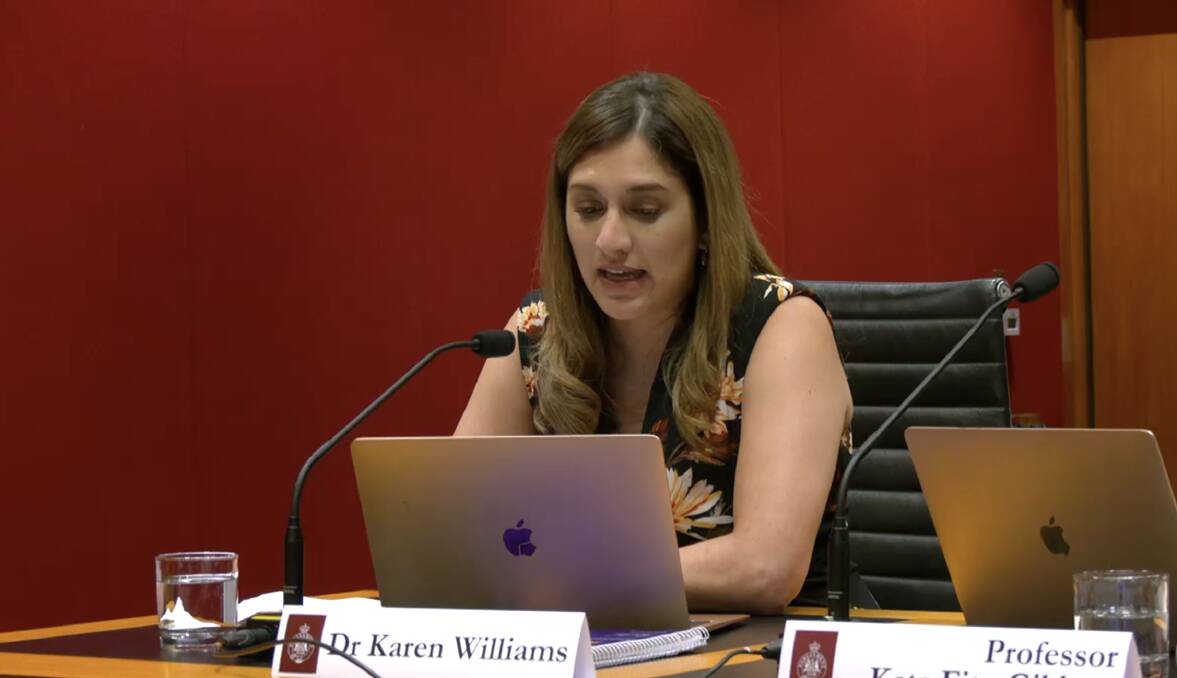 Wollongong psychiatrist Dr Karen Williams spoke in NSW Parliament on Monday to raise concerns with the government's coercive control bill. Picture from NSW Parliament webcast.