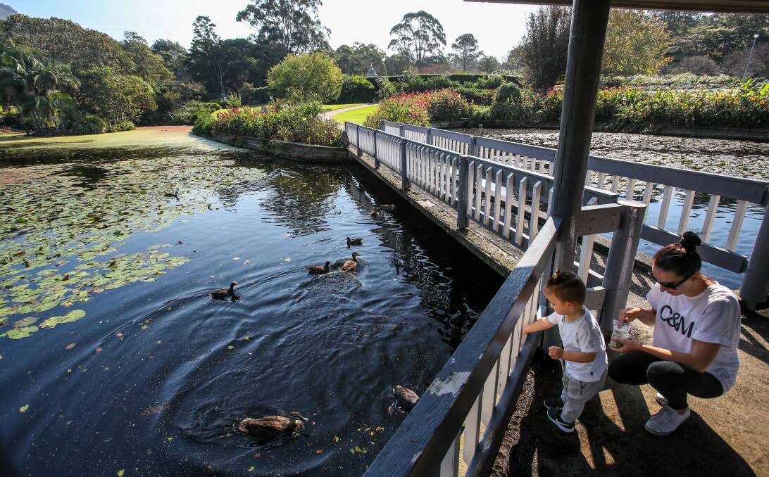 Recreation and education: A new cafe with a botanical theme is proposed for near the duck pond. Picture: Adam McLean.