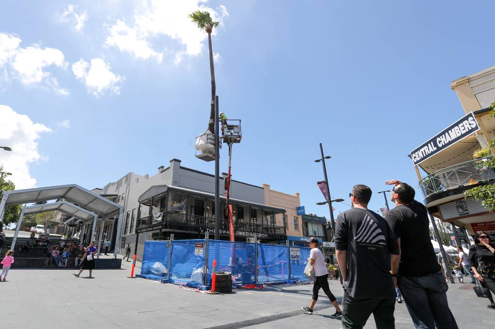 I'm going out on a limb in support of the Crown Street Mall palm tree
