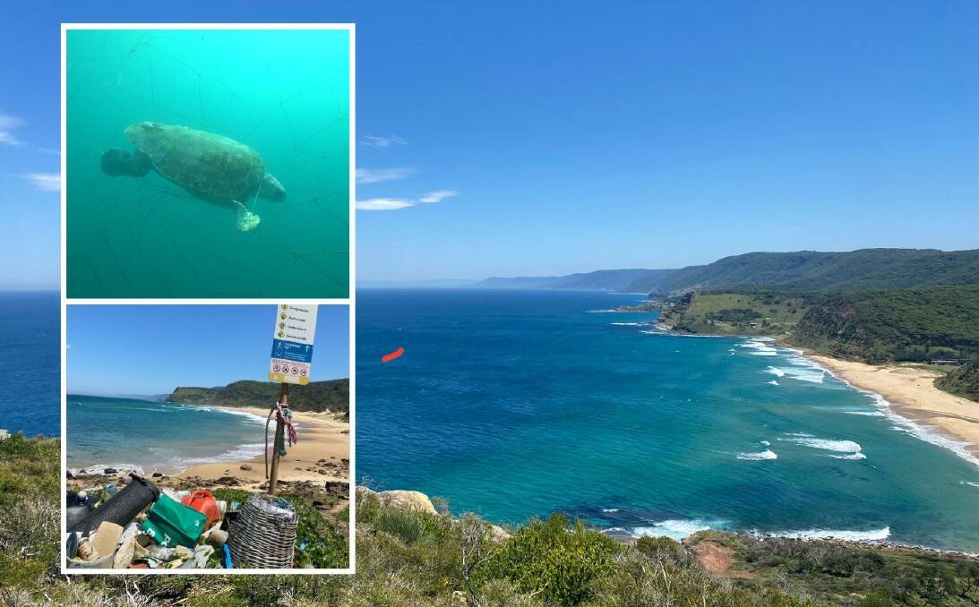 Environmental group Sea Shepherd says threatened marine life like green turtles continue to be caught in shark nets off Garie Beach, despite the beach being inaccessible for nearly a year. Pictures supplied.
