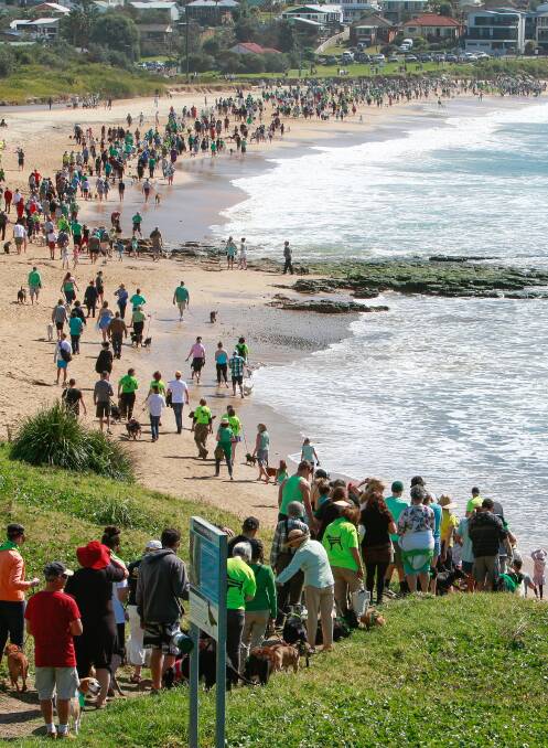 2014 beach protests.