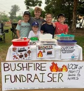 Austin and Fletcher Browne, from Mangerton, joined cousins William, Ethan and Abigail Humphrey from Figtree and Ella Buck from Figtree, to raise $1400 for WIRES. Picture: Bec Browne.