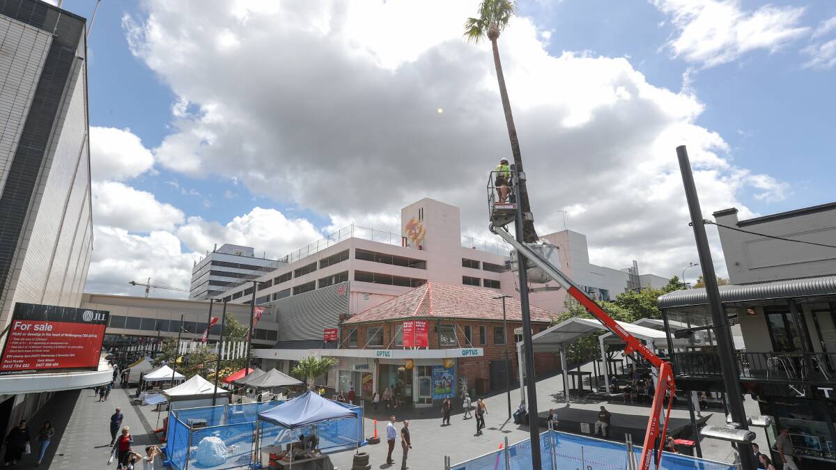 Crown Street Mall’s 17m palm artwork – will it grow on us?