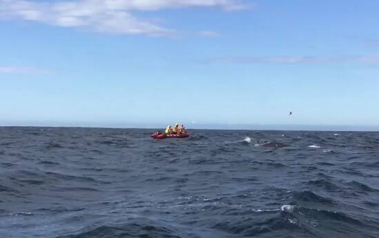 Picture by NSW Marine Rescue.