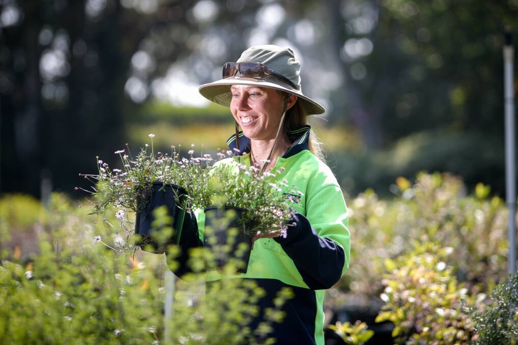 Drought hardy: Botanic Garden horticulturist Erin Martin prepares for the final plant sale of the year - where all plants will be 25 per cent off. Picture: Adam McLean.