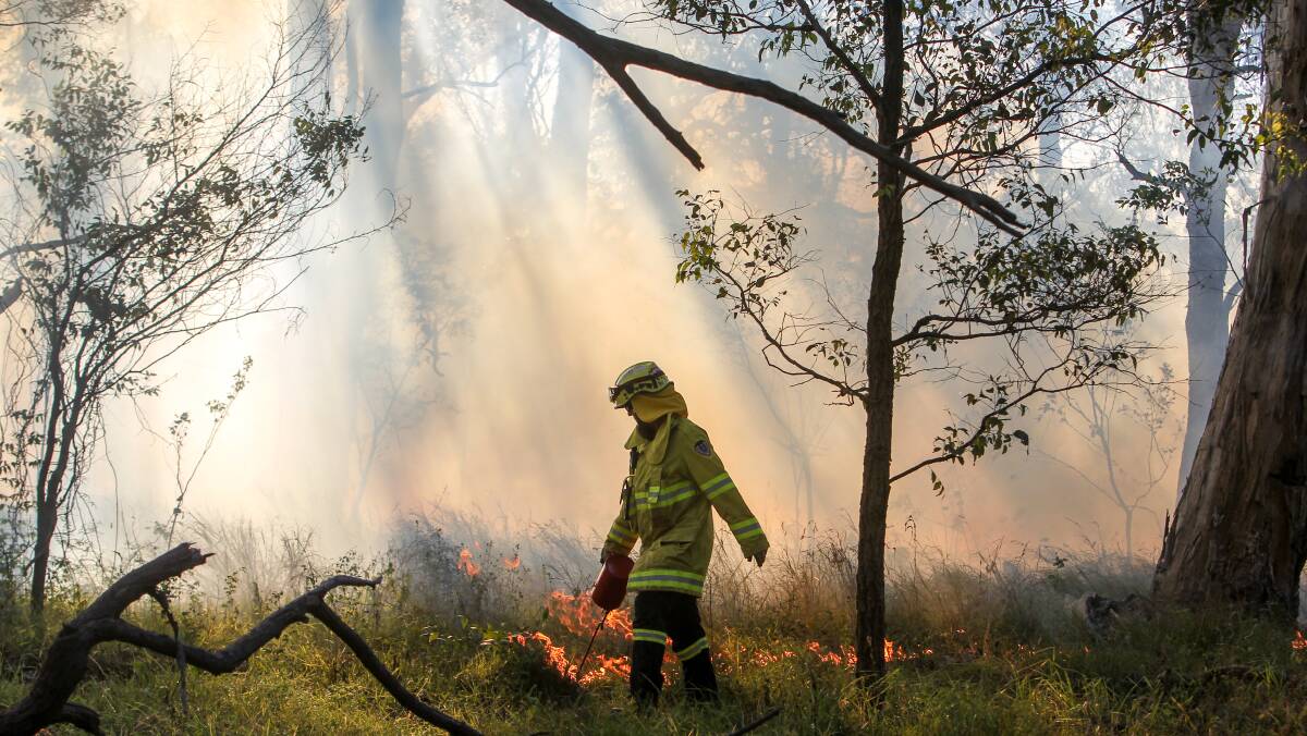 Challenging assumptions: Fire crews performing a hazard reduction burn in Wiseman's Park on behalf of Wollongong council in May. Picture: Adam McLean.