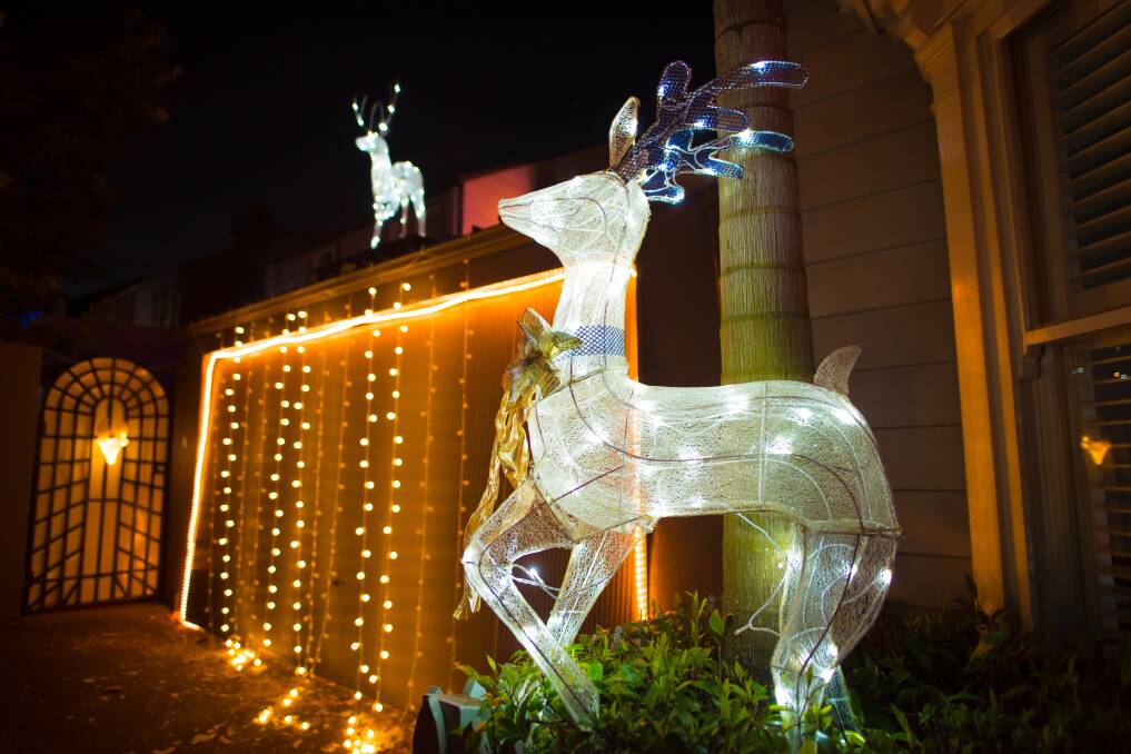 Switch on those Christmas lights in celebration | Illawarra Mercury | Wollongong, NSW
