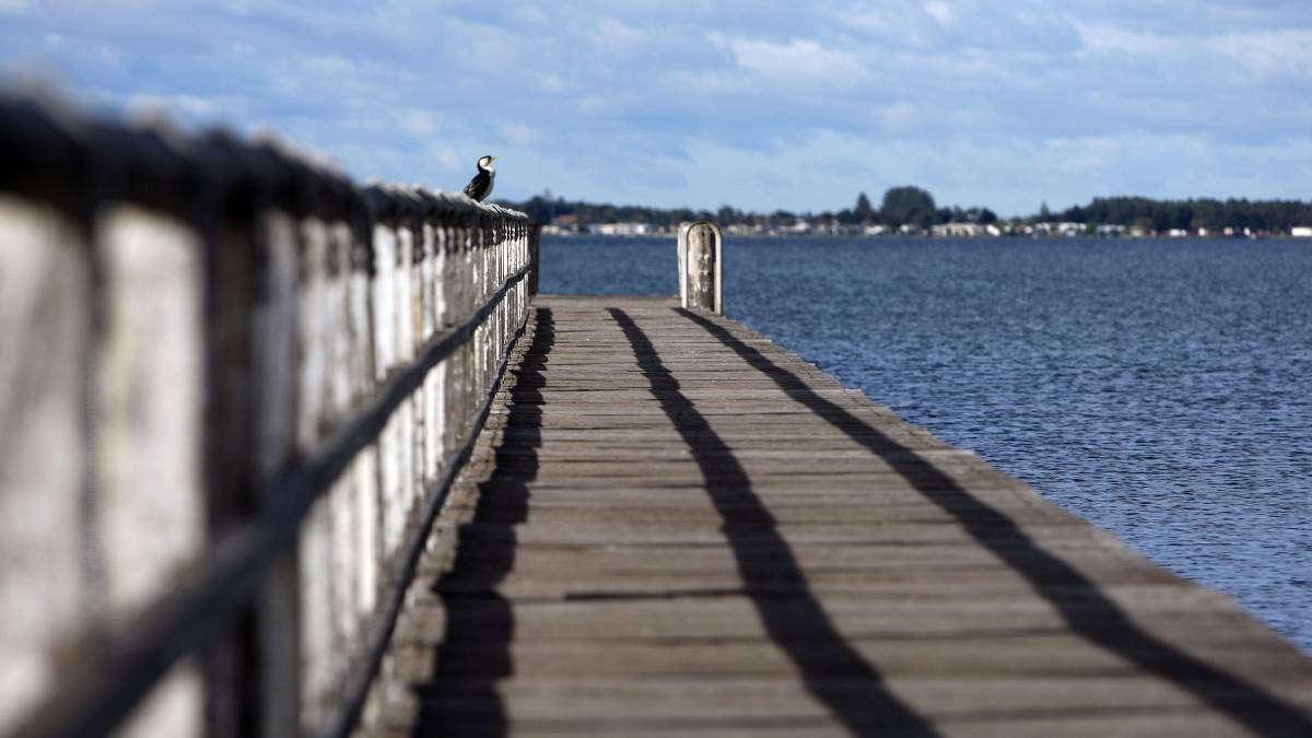 Two Lake Illawarra jetties have reopenned in time for summer. 