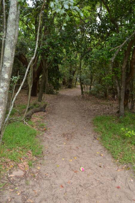 The bush track which leads to the beach at Gerroa, where the man was reportedly attacked by a shark this afternoon.