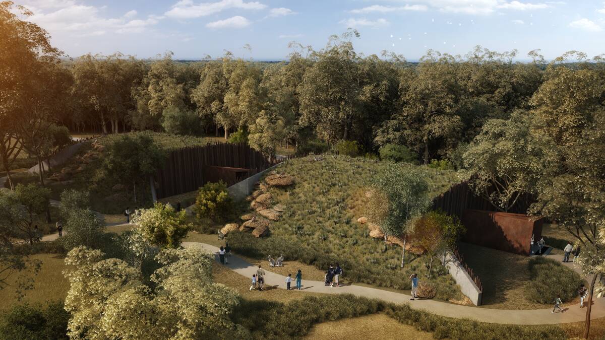 Sydney Zoo - Nocturnal House artist impression. Picture: Supplied