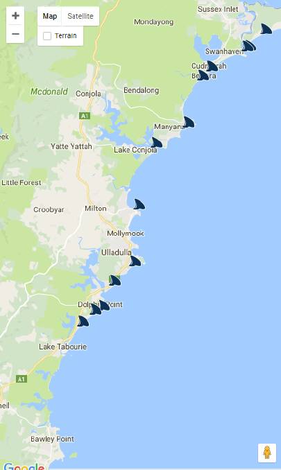 A image from the Dorsal website highlighting the number of shark sightings within the region.