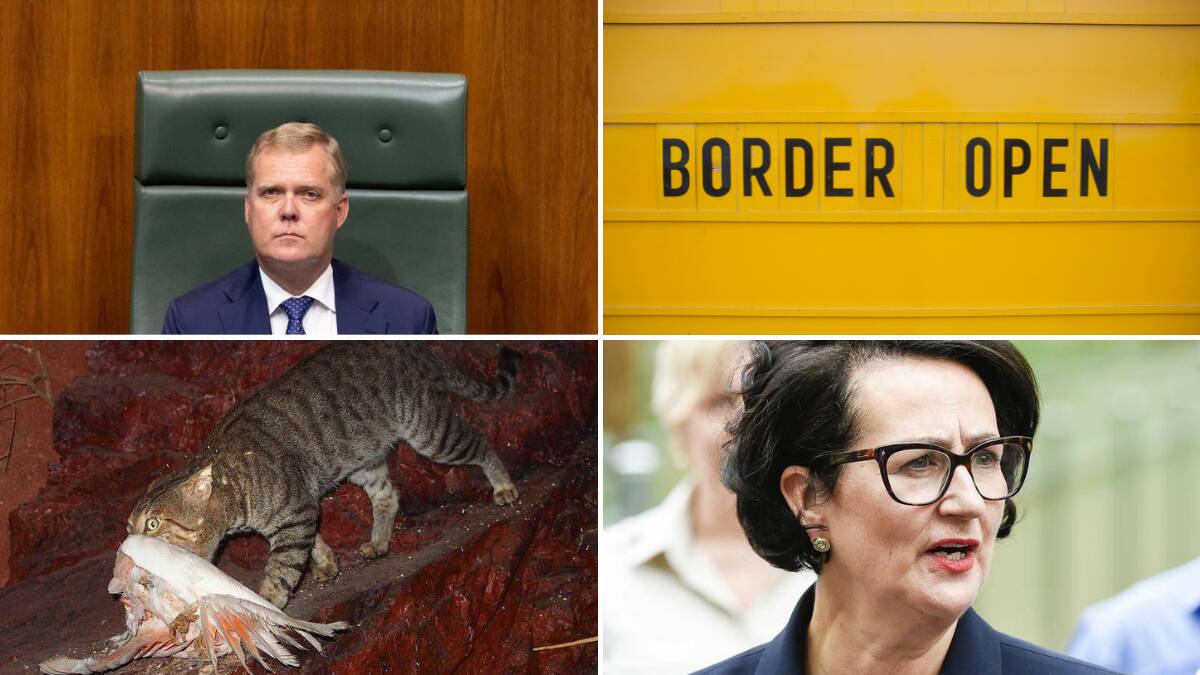 There's a lot going on in politics in this final sitting fortnight of 2021
