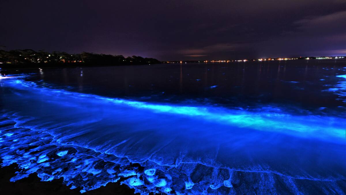 Светящееся море почему светится. Биолюминесценция остров Ванкувер Канада. Водоросль ночесветка черное море. Остров Ваадху Мальдивы. Озеро Гипселенд Австралия.