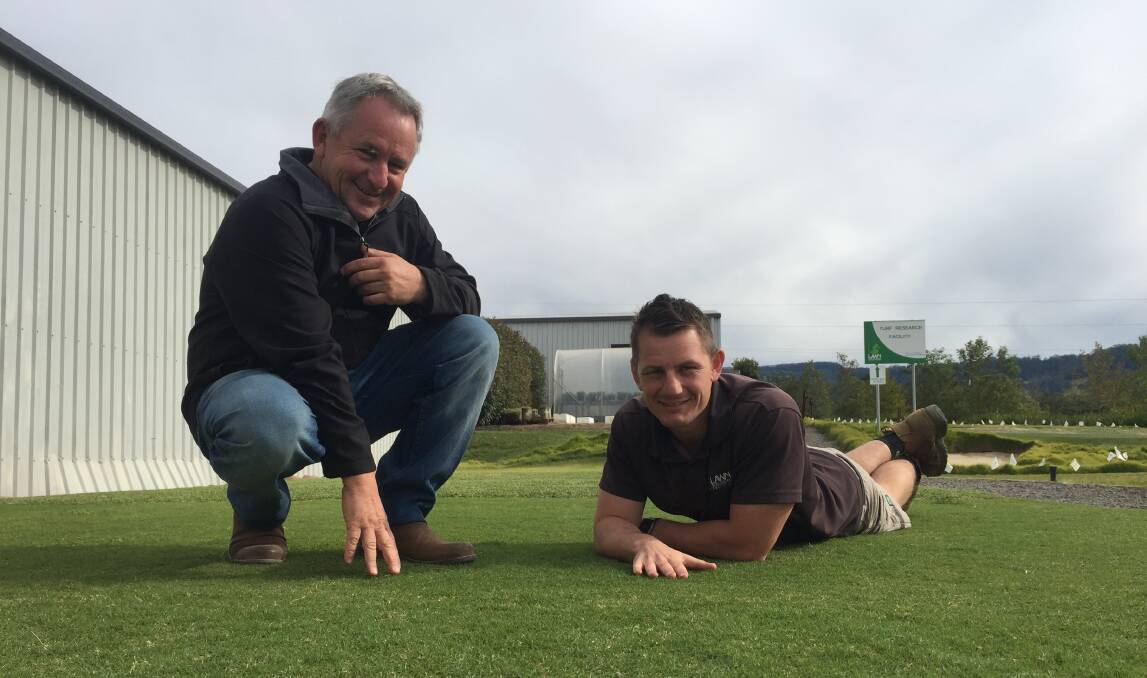 WORLD FIRST: TOP TURF: Lawn Solutions Australia managing director Gavin Rogers (left) and commercial and research development manager Joe Rogers with the TifTuf turf that has become the first turf grass in the world t receive the Smart Approved WaterMark.