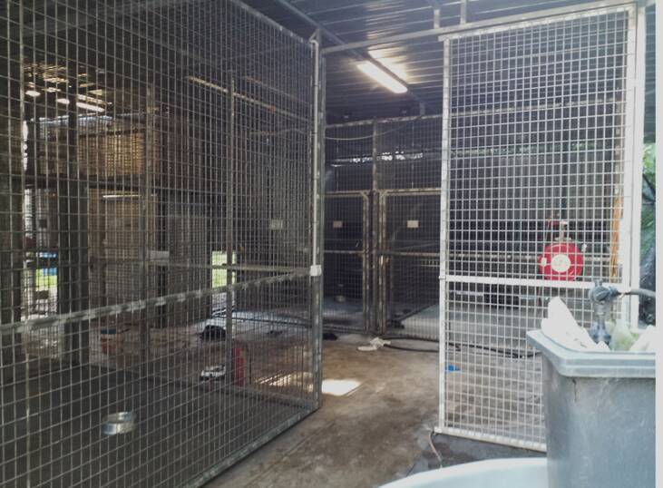 The enclosure where incident occurred. Image: Safework NSW