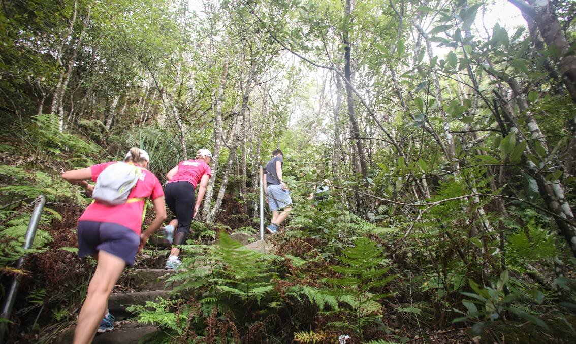 Walkers take on the Sublime Point trail which runs from Austinmer to Maddens Plains. Picture: ACM