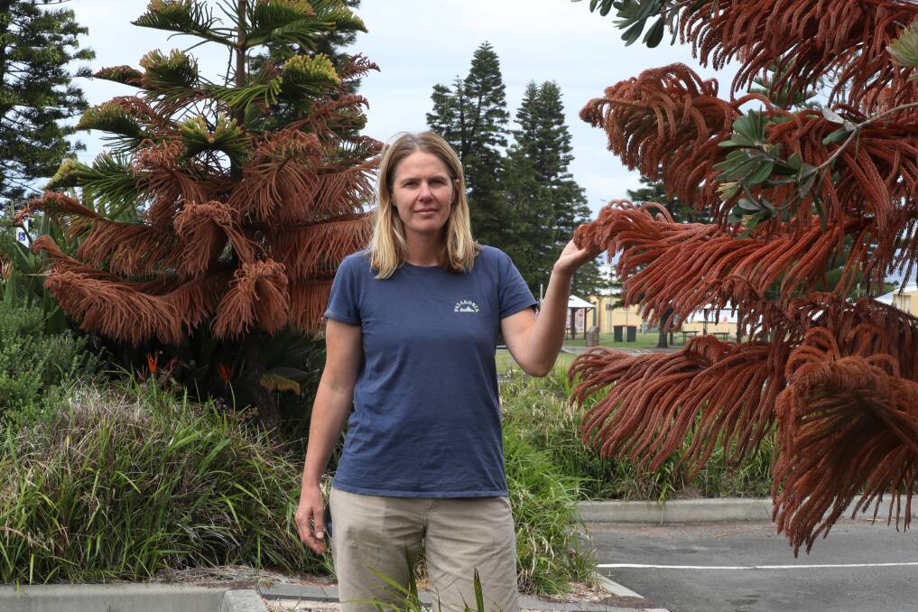 Jess Whittaker is outraged at the suspected poisoning of 10 Norfolk Pines which were planted in Port Kembla. Picture by Robert Peet.