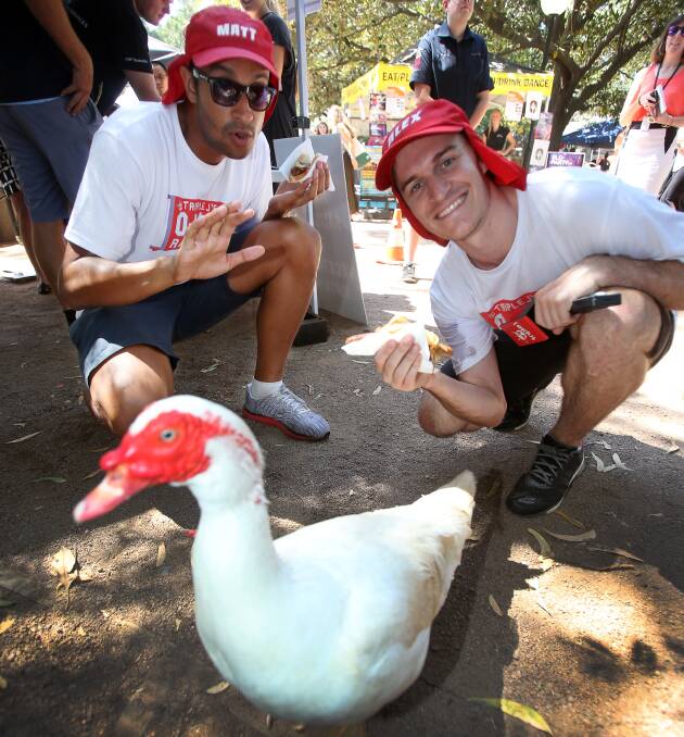 Angry birds: Matt Okine and Alex Dyson visiting the University of Wollongong's O-Week celebrations and taking on duck challenges for a radio stunt. Picture: Robert Peet