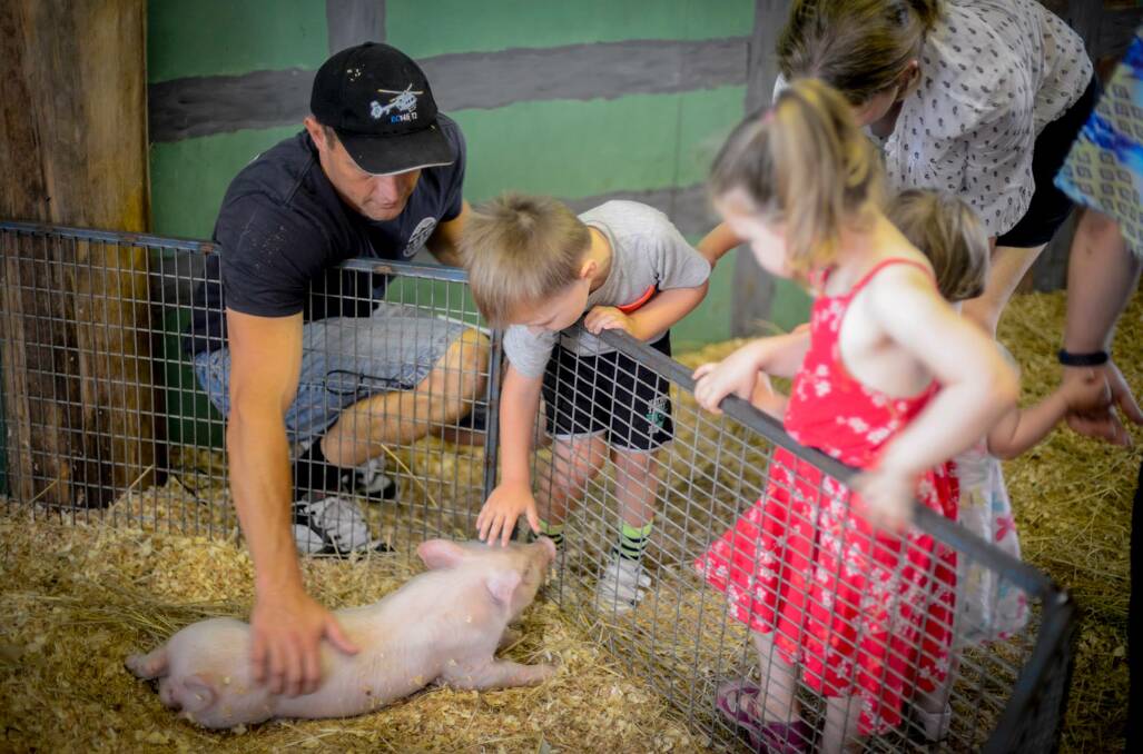 A petting zoo will be setup for the children. Picture: Supplied