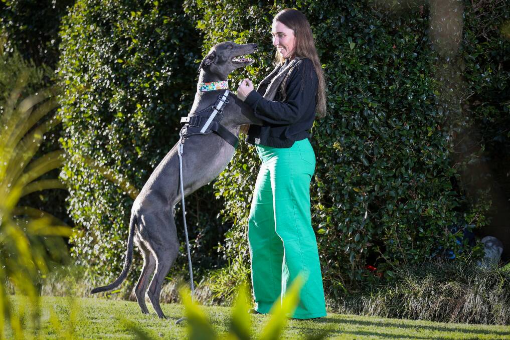 'Greyhounds are skinny little things, but they do have muscle ... when I first got earl his hind legs look like a kangaroo,' says owner Erin Bubb. The pair feature on a new Channel 10 television show. Picture by Adam McLean
