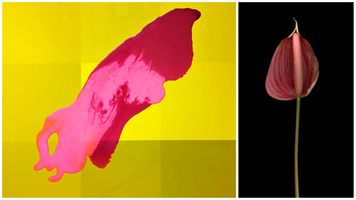 Magenta Eruptions (left - 80 x 80 cms. It is mixed media on a chromaluxe print) and Anthurium (right - 40 x 45 cms and is a chromaluxe print) - artworks by Robert Sherwood Duffield.