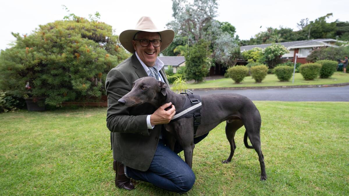 Television host and dog whisperer Graeme Hall with lovable greyhound Earl who had issues getting into cars. Picture supplied by Channel 10