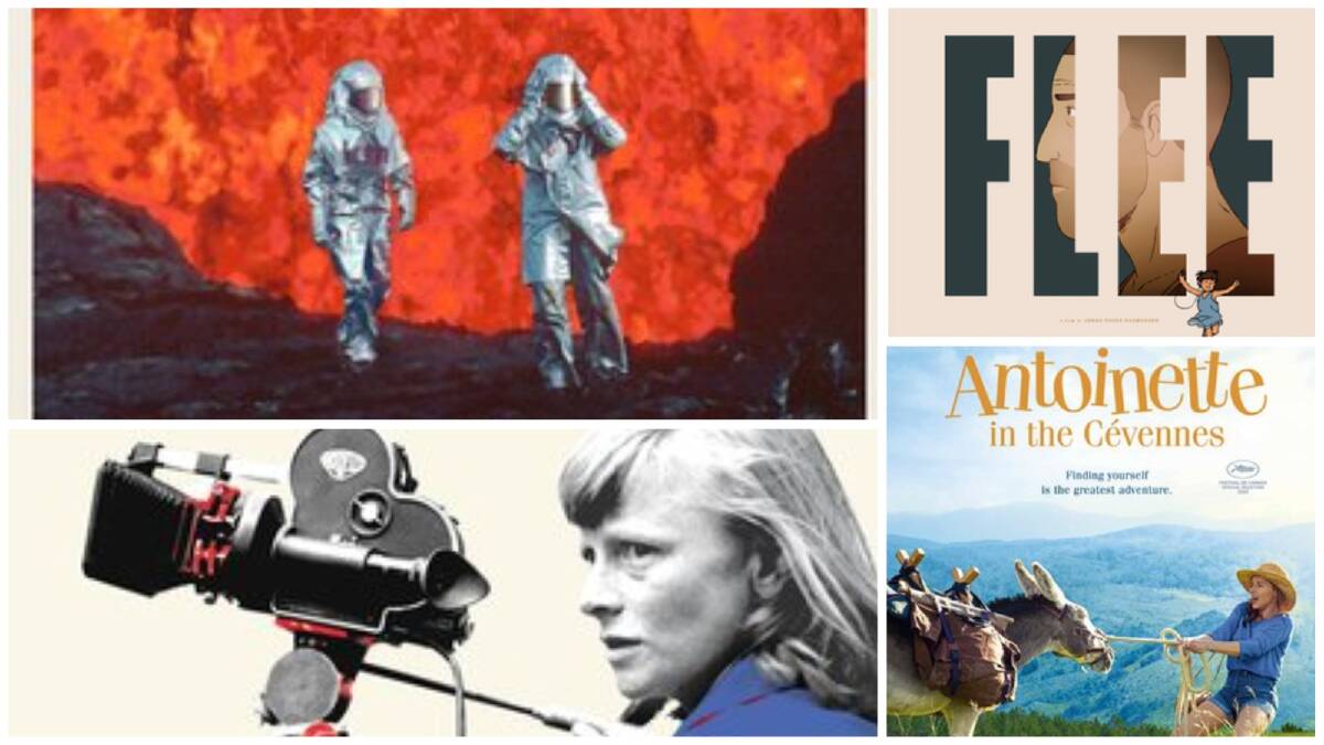 Some of the films on the Illawarra Film Society program for 2023: (clockwise from left) Fire of Love, Flee, Antoienette in the Cevennes and When the Camera Stopped Rolling.