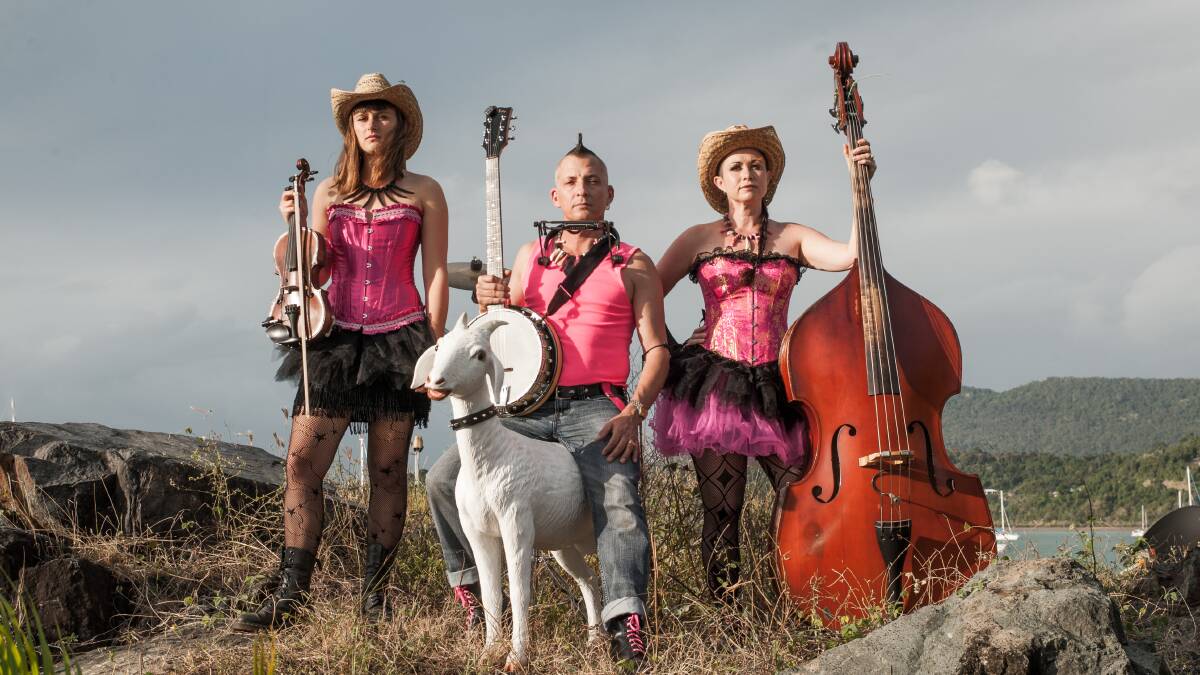 BOOT SCOOTIN: The Hillybilly Goats (and Hermie - short for Hermaphragoat) are one of the headline acts at this weekend's Folk By The Sea. Picture: Andrew Pattinson