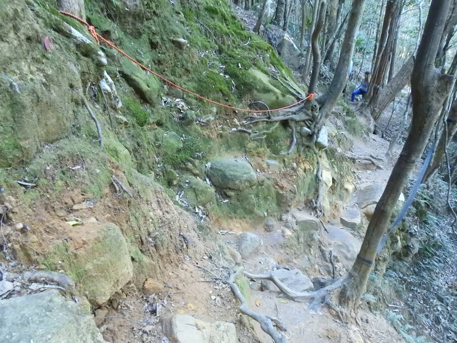 FILE PHOTO: Some of the terrain on the Jump Rock walking trails at the Macquarie Pass National Park, west of Albion Park. Picture: Bushwalk The Gong
