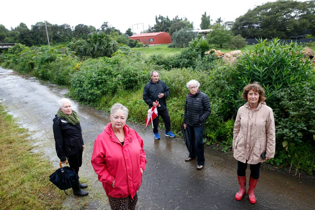 ANGRY: Thirroul residents are opposed to a proposed development in a flood zone along Hewitt's Creek - Annette Jones, Barbara Creswick, Joseph Davis, Cathy Bloch and Inga Lazzarotto. Picture: Anna Warr