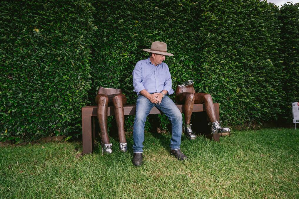 Images of Wollongong City Council's 2021 exhibition, Sculptures in the Garden. Picture: Tad Souden