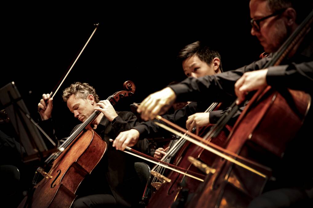 Australian Chamber Orchestra cellists. Picture: Julian Kingma