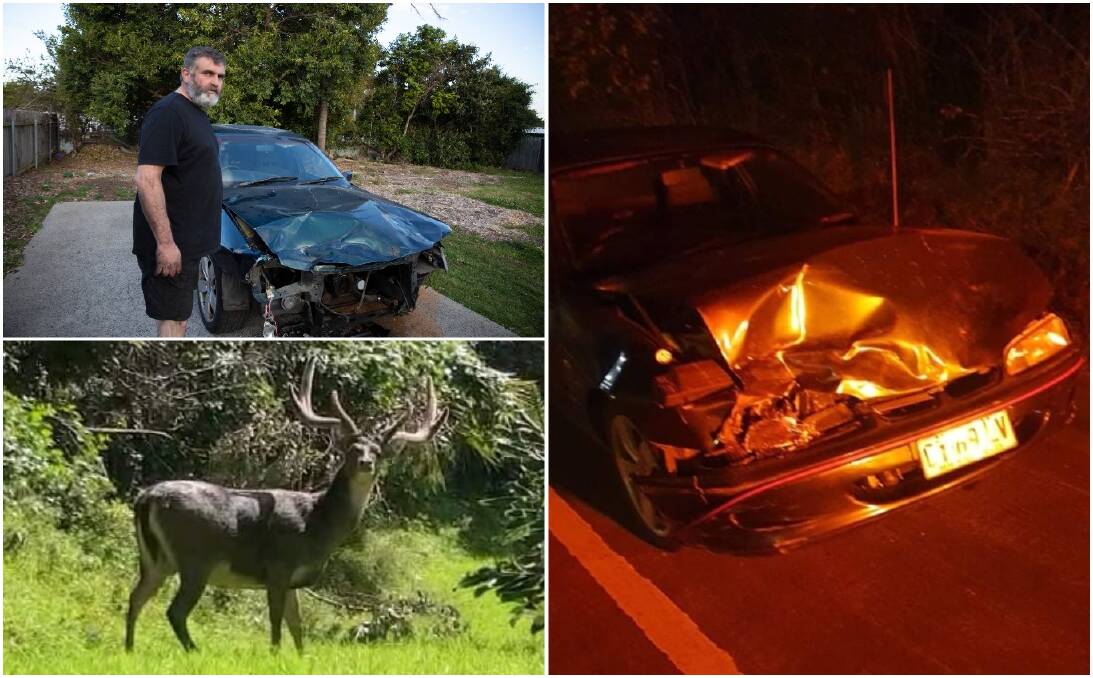 Socratis Kyriacou had a lucky escape after hitting two feral Rusa deer running across Wollongong's Memorial Drive on Friday. Picture: Supplied