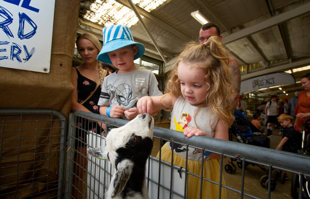 Illawarra families can use public transport for free to get to the Sydney Easter Show. Picture: ACM File Image