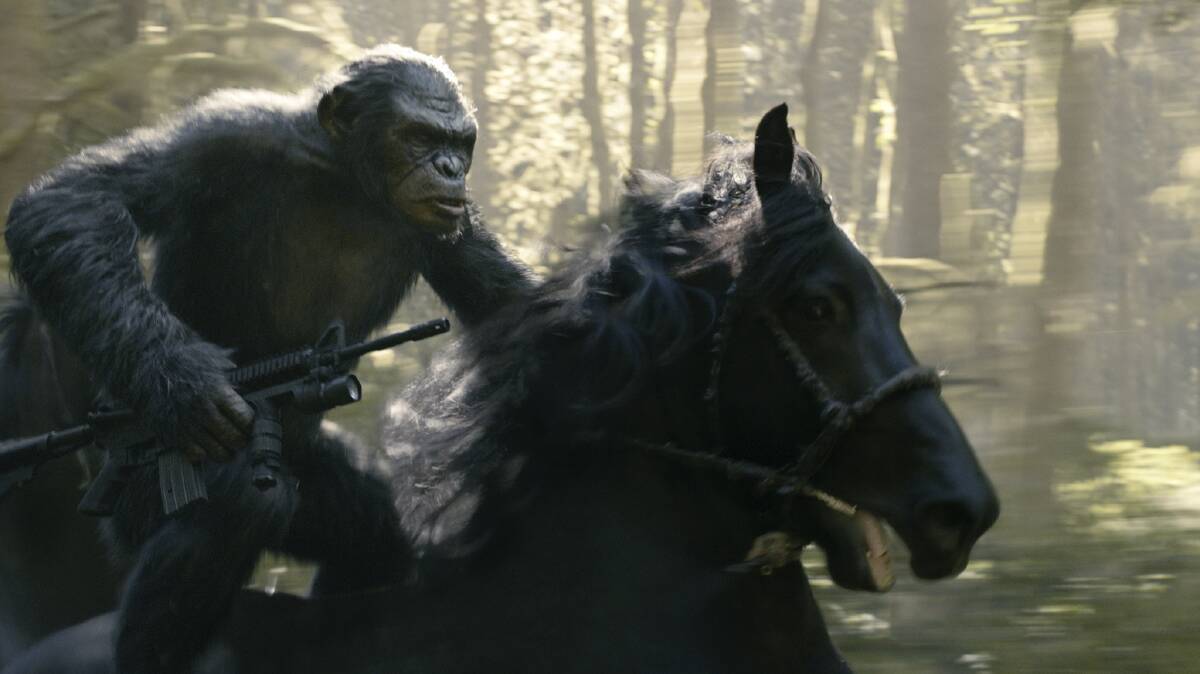 A scene from Dawn of the Planet of the Apes - a previous film in the franchise. The newest one, being shot in Sydney and around the Illawarra (Kingdom of the Planet of the Apes), is set for cinematic release in 2024. 