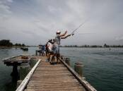 People launch their fishing lines off a Windang jetty in January 2022. Picture: Anna Warr