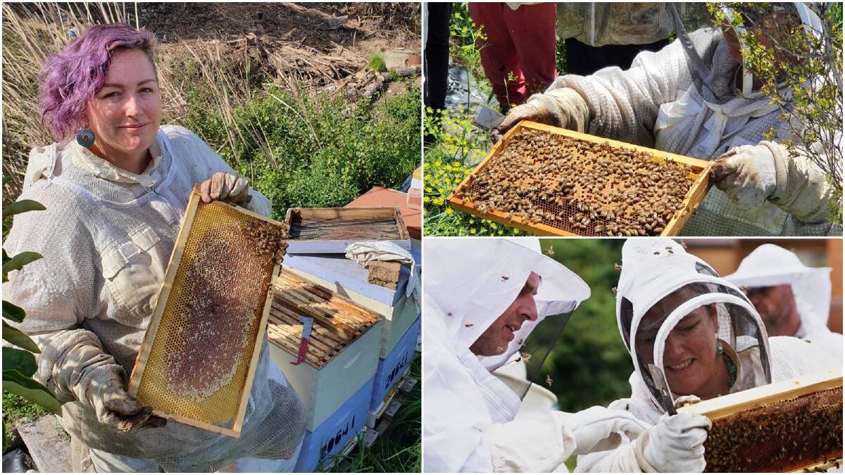 Apian expert, Claire Brown of Flametree Beekeeping. Pictures: Supplied