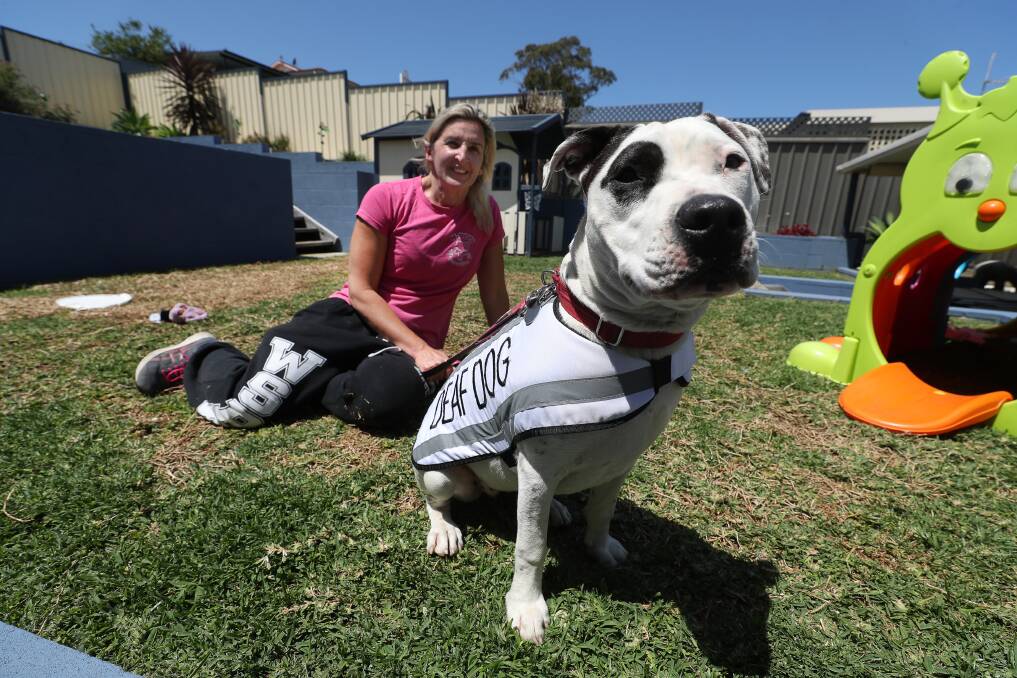 Totally Pawsome: Michelina Weatherall with Marilyn the deaf rescue dog ahead of the Street Paws Festival at MacCabe Park - which celebrates canines of all shapes, sizes and abilities. Picture: Robert Peet