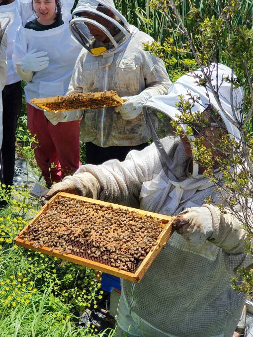 Apian expert, Claire Brown of Flametree Beekeeping. Pictures: Supplied