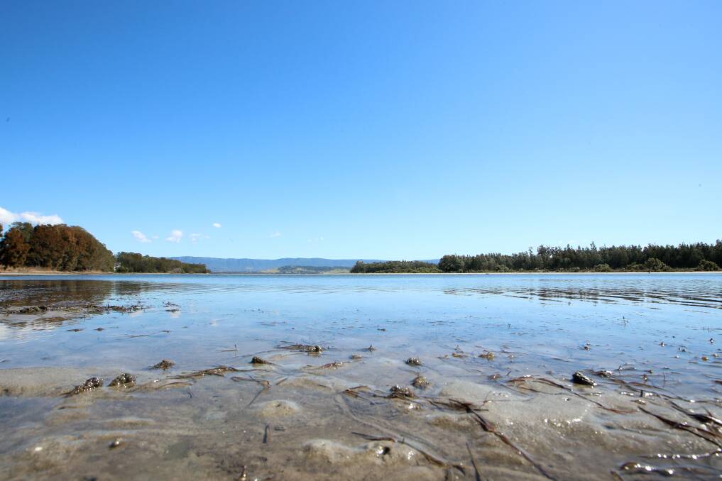 Lake Illawarra. Picture: Sylvia Liber