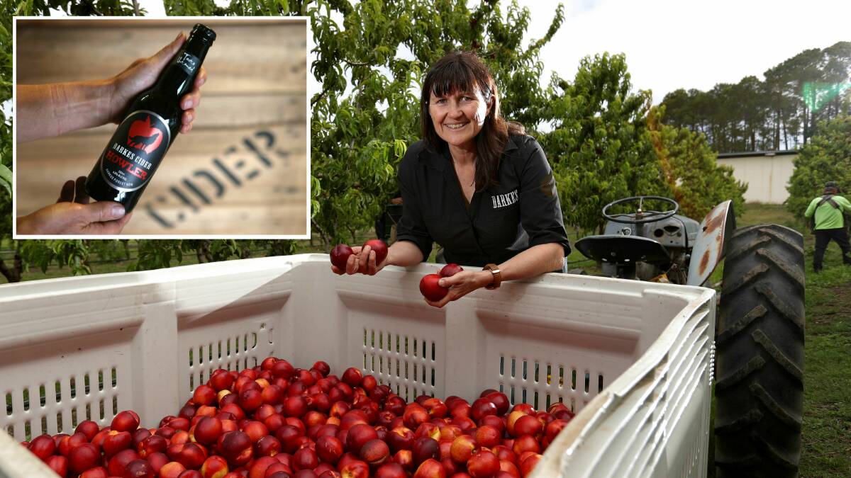 Jo-Anne Fahey and her award-winning 'Howler' Darkes Cider. Pictures: Kirk Gilmour/ Adam McLean
